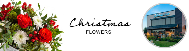 Christmas Flowers