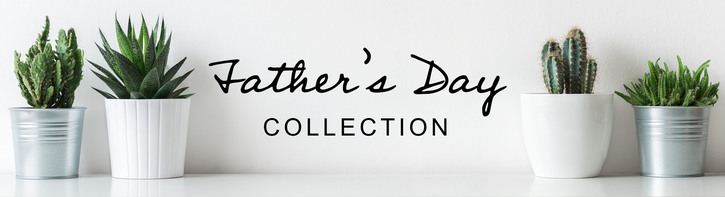 Father's Day Flowers & Gifts